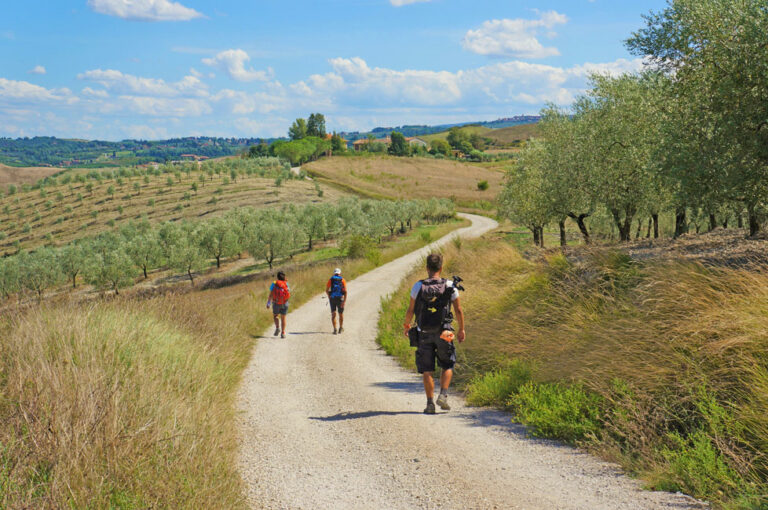Via Francigena Lucca to Siena (with luggage transportation)